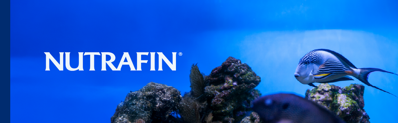 NUTRAFIN
