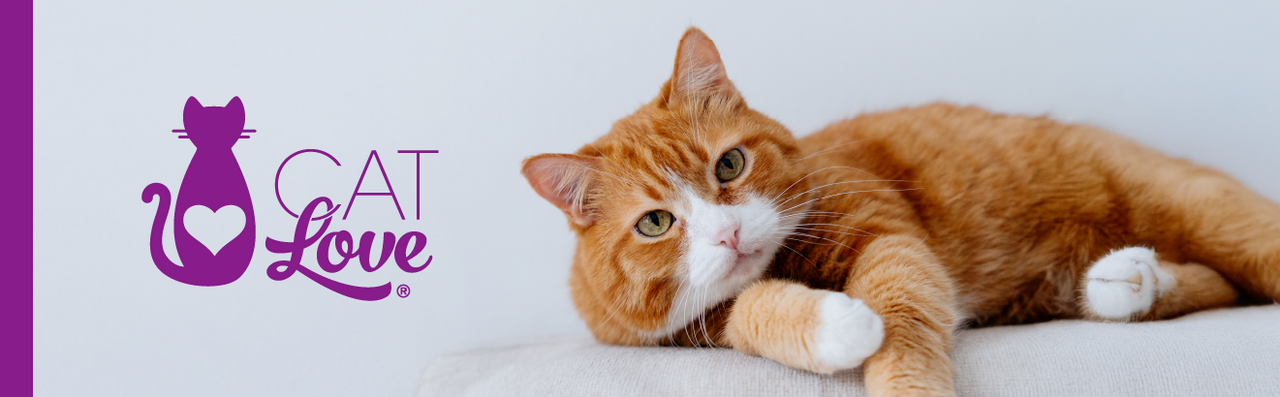 CAT LOVE