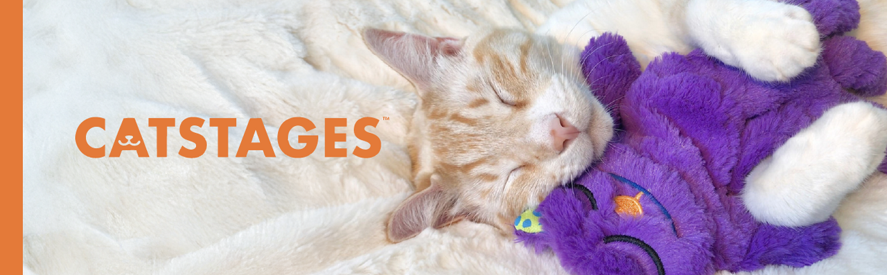 CAT STAGES