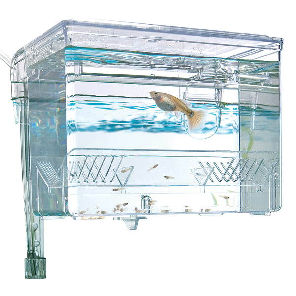 FLUVAL CAJA NACEDORA