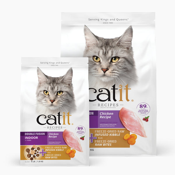 CATIT RECIPES INDOOR