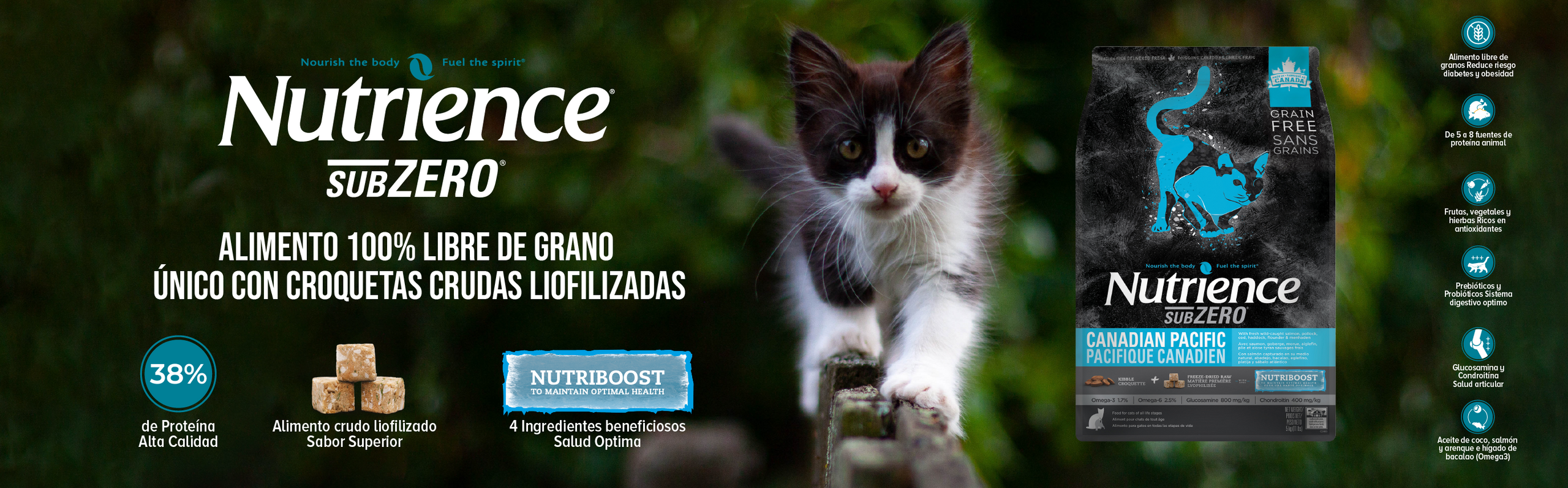 https://petpartners.cl/cdn/shop/files/Banner_Nutrience_gato_2560x.png?v=1697086166