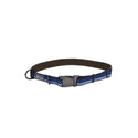 COASTAL K9 EXPLORER COLLAR ZAFIRO