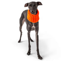 GFPET BUFANDA CUELLO SCOUT NARANJA