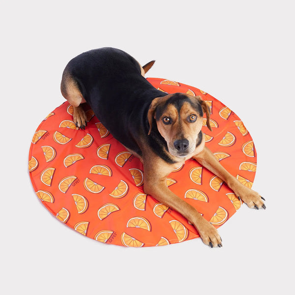 GFPET ICE MAT REDONDO NARANJA