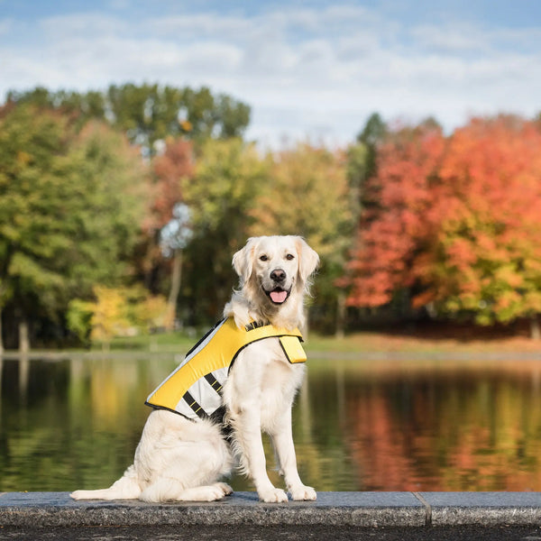 GFPET CHAQUETA SALVAVIDAS