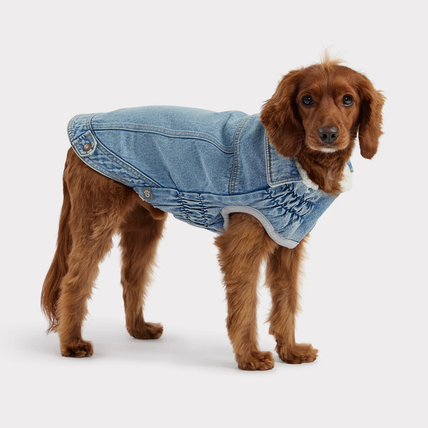 GF PET  CHAQUETA DENIM LIGHT WASH