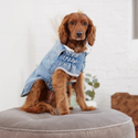 GF PET  CHAQUETA DENIM LIGHT WASH