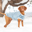 GF PET  CHAQUETA DENIM LIGHT WASH