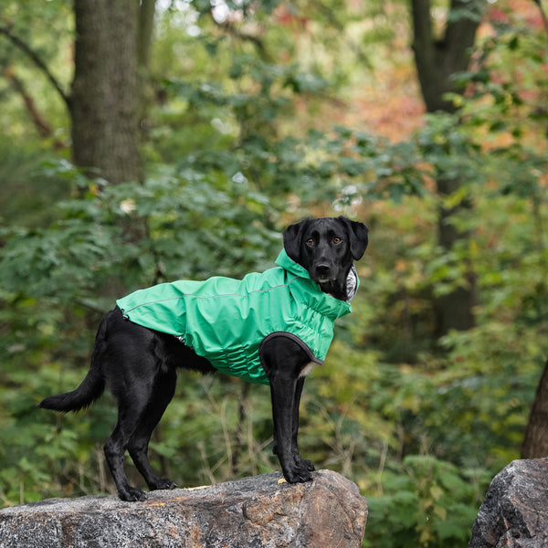 GFPET IMPERMEABLE REVERSIBLE VERDE