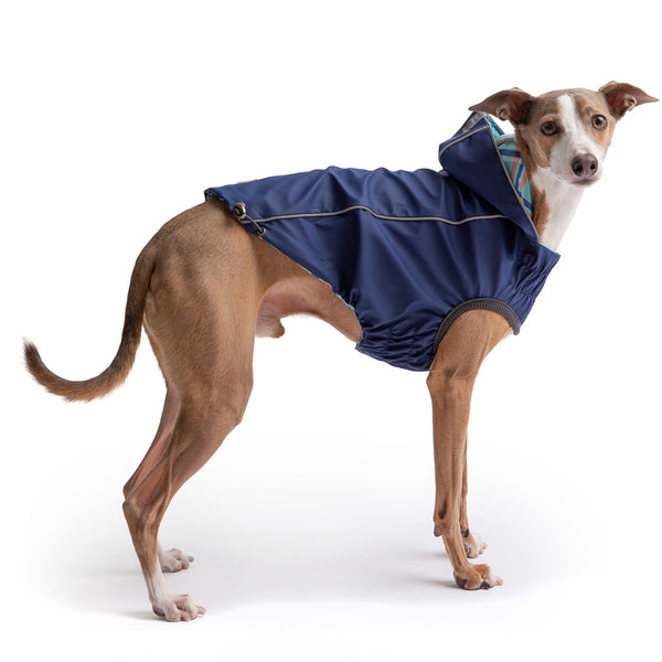 GFPET IMPERMEABLE REVERSIBLE AZUL