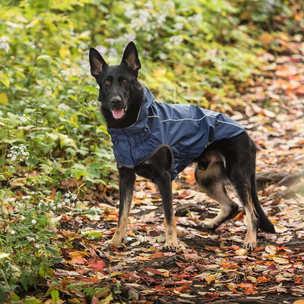 GFPET IMPERMEABLE REVERSIBLE AZUL