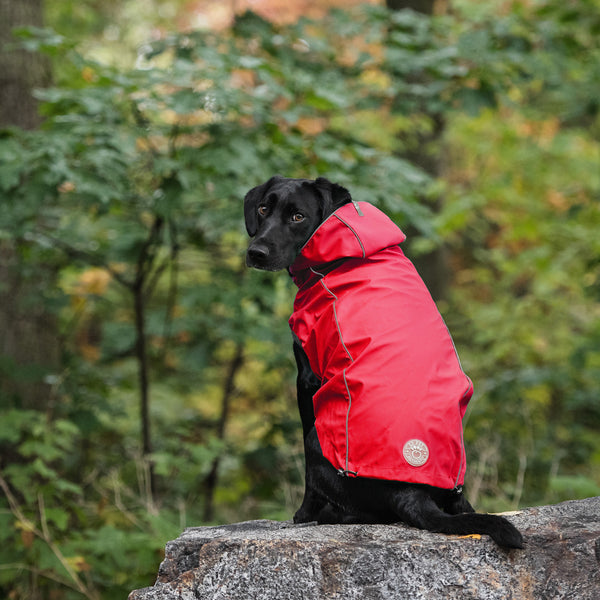 GFPET IMPERMEABLE REVERSIBLE ROJO