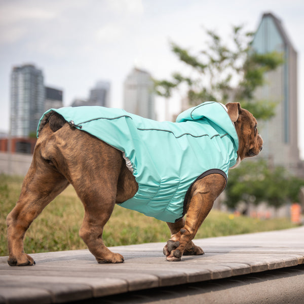 GF PET IMPERMEABLE REVERSIBLE NEON AQUA