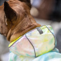 GF PET IMPERMEABLE REVERSIBLE NEON AMARILLO