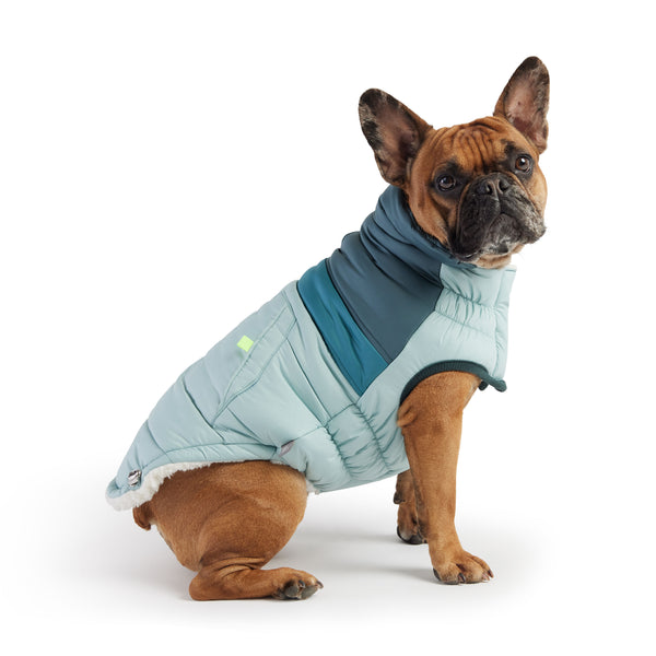 GF PET CHAQUETA RETRO PUFFER CELESTE