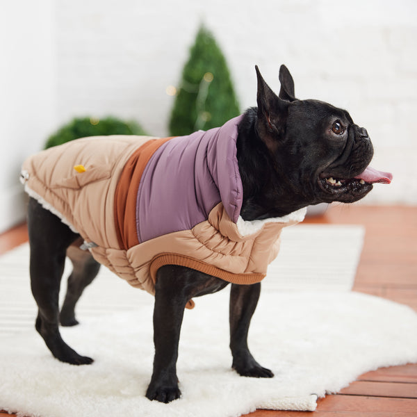 GF PET CHAQUETA RETRO PUFFER ARENA