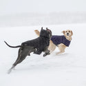 GF PET PARKA CLOUD  NEGRA