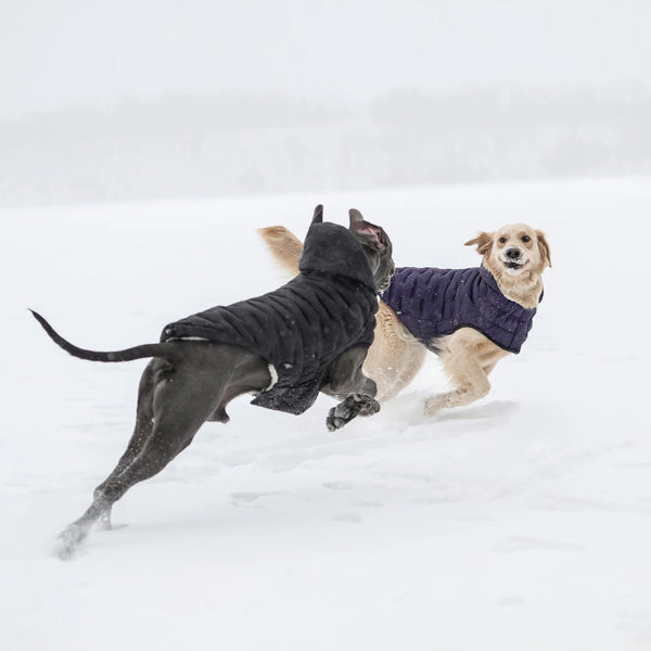 GF PET PARKA CLOUD  NEGRA