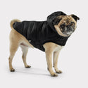 GF PET PARKA CLOUD  NEGRA