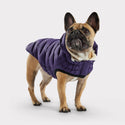 GF PET PARKA CLOUD PURPURA