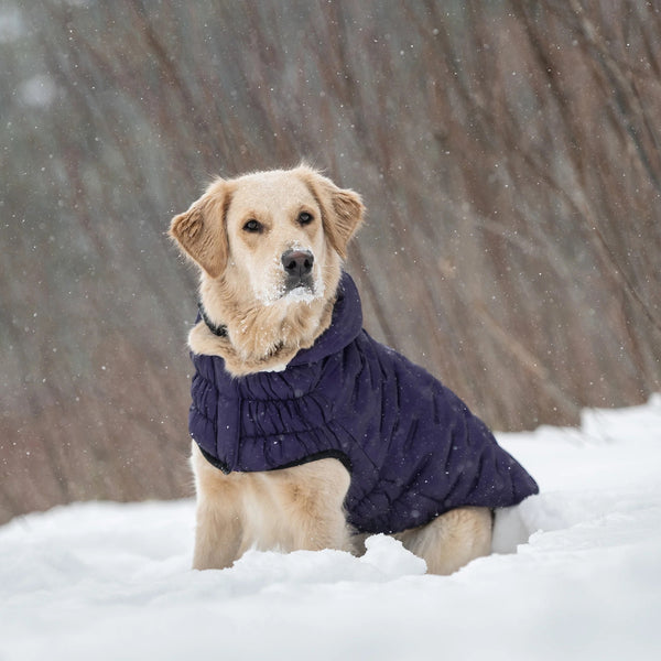 GF PET PARKA CLOUD PURPURA