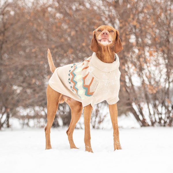 GF PET SWEATER HERITAGE ARENA