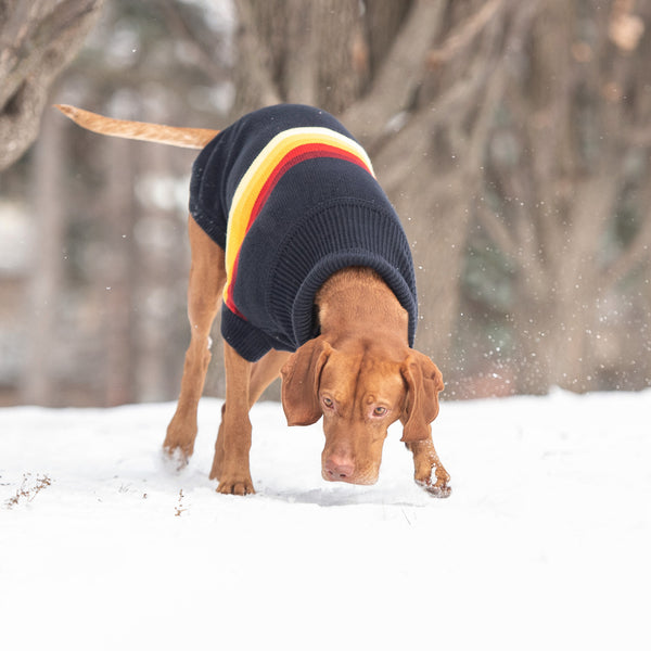 GF PET SWEATER RETRO AZUL MARINO