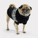 GF PET SWEATER FUZZY NEGRO