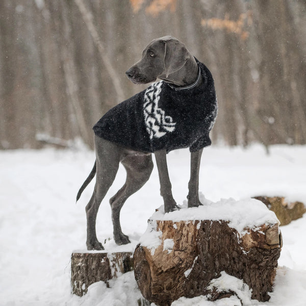 GF PET SWEATER FUZZY NEGRO