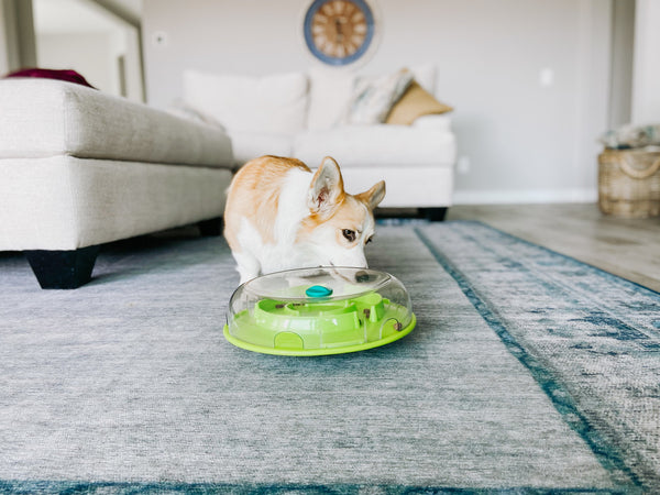 NINA OTTOSSON PERRO WOBBLE BOWL NIVEL 1