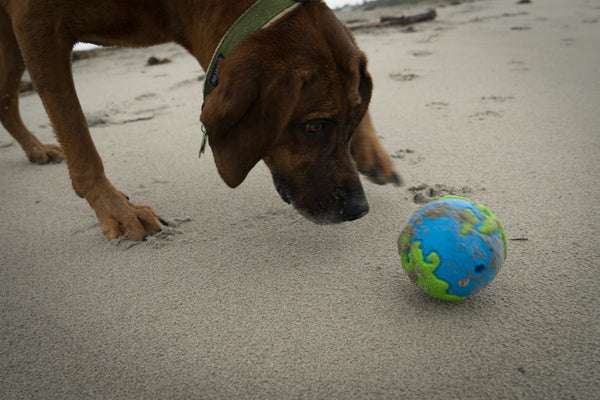 PLANET DOG PLANET BALL AZUL/VERDE