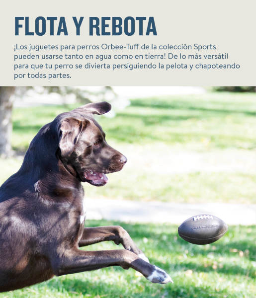 PLANET DOG PELOTA FUTBOL AMERICANO