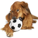 PLANET DOG PELOTA FUTBOL