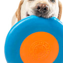 PLANET DOG ZOOM FLYER DISCO AZUL/NARANJA