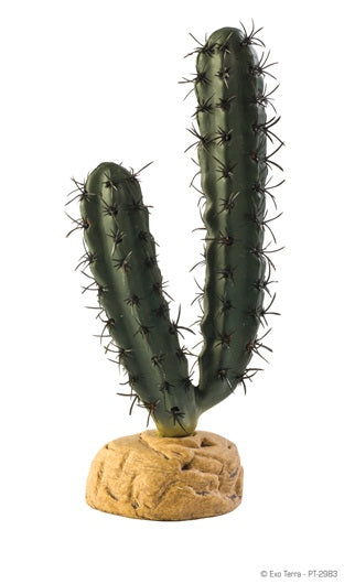 EXO TERRA DECO DESERTICO  CACTUS