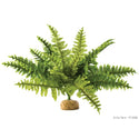 EXO TERRA DECO TROPICAL PLANTA