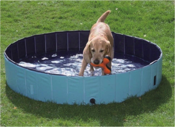 PAWISE PISCINA PARA PERROS 120X30 CM