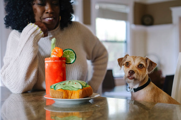 PLAY JUGUETE BARKING BRUNCH AVO-DOGGO TOST