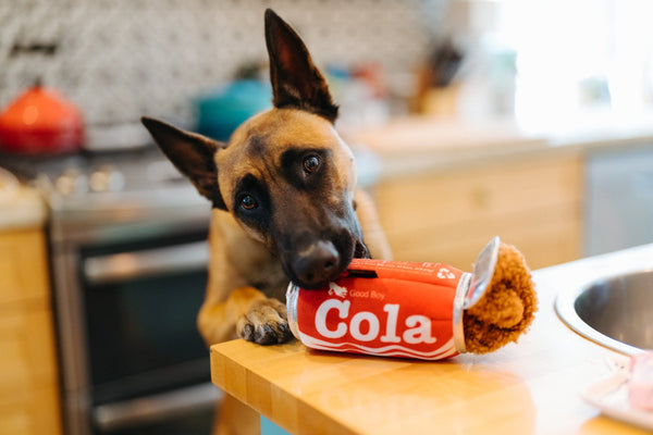 PLAY JUGUETE SNACK ATTACK GOOD BOY COLA