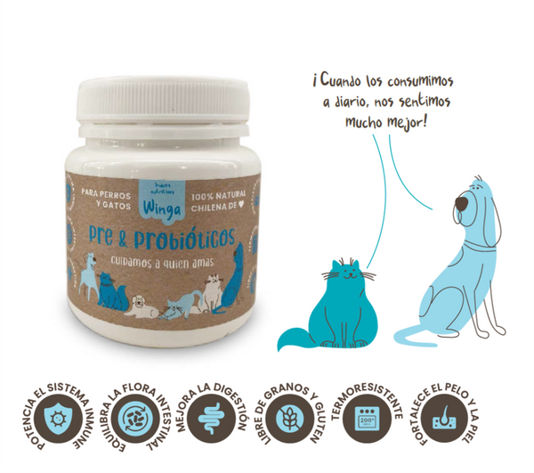 WINGA PRE & PROBIOTICOS 60GR