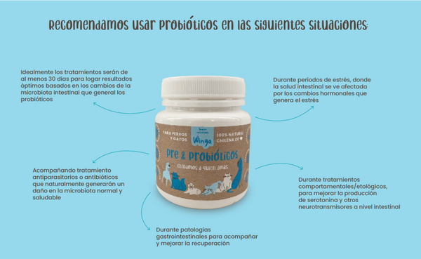 WINGA PRE & PROBIOTICOS 60GR