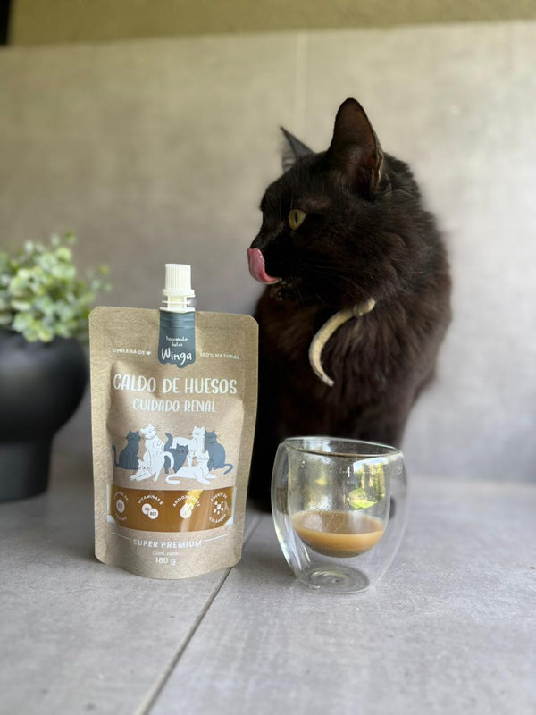 WINGA CALDO DE HUESO DE RENAL GATO DISPLAY X 10