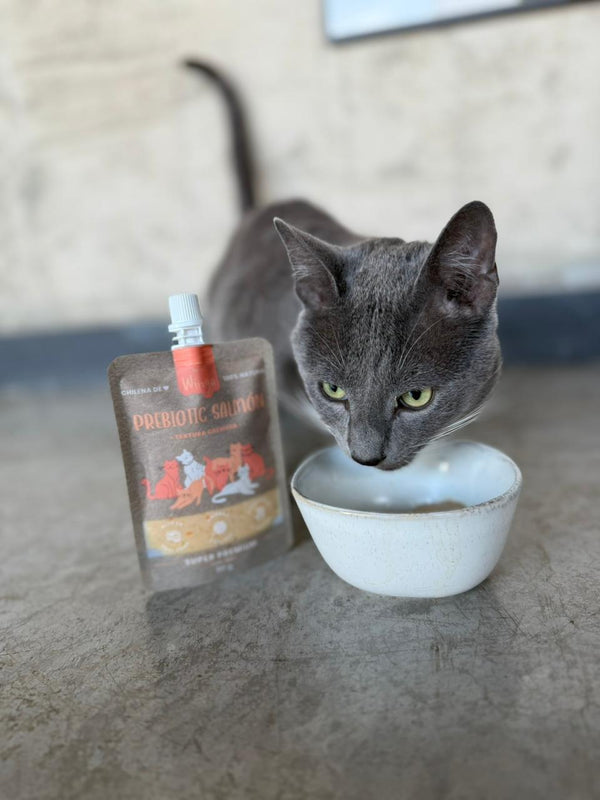 WINGA POUCH PREBIOTIC SALMON GATO DISPLAY X 15