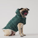 GF PET PARKA SUPER PUFF VERDE AZULADO